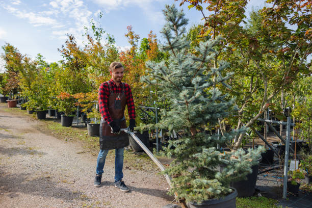 Best Tree Branch Trimming  in El Valle De Arroyo Seco, NM